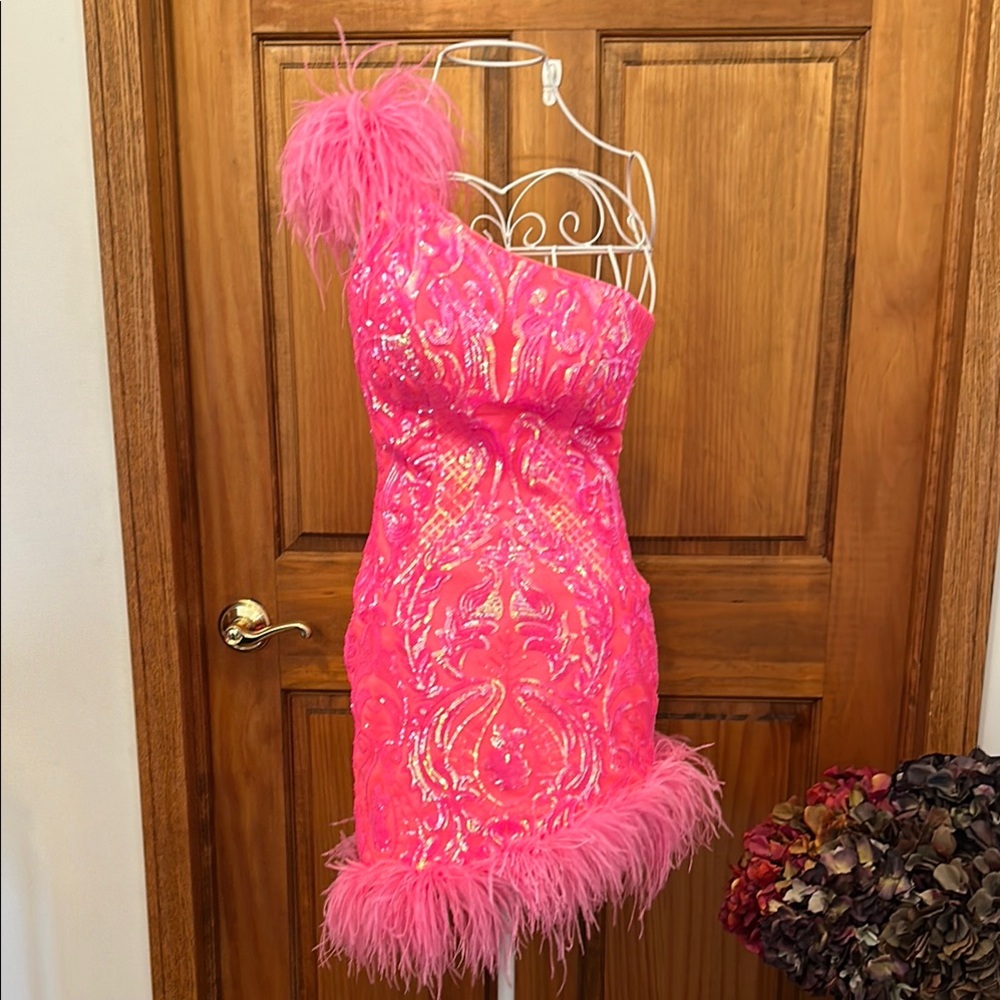Elegant Pink Feathered Prom Dress